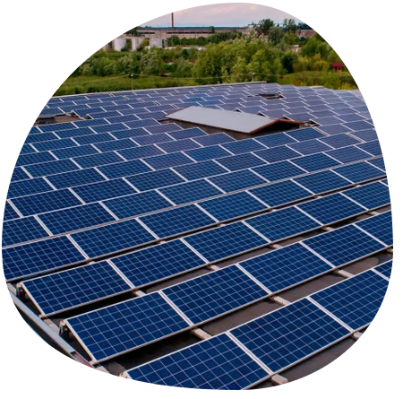 Imagen de placas solares
